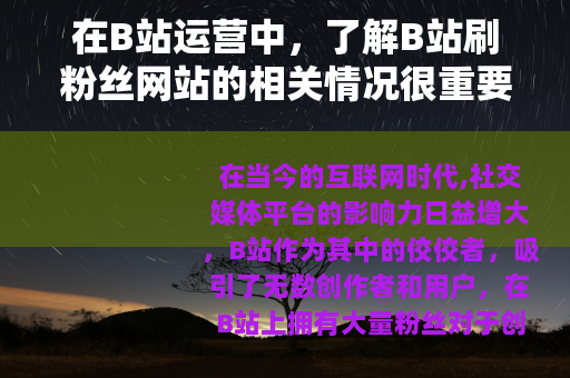 在B站运营中,了解B站刷粉丝网站的相关情况很重要 在B站运营中,了解B站刷粉丝网站的相关情况很重要