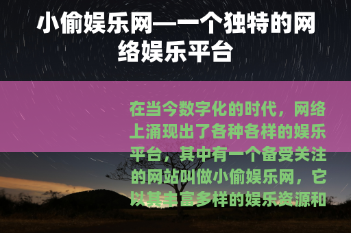 小偷娱乐网—一个独特的网络娱乐平台