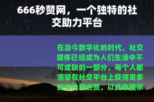 666秒赞网，一个独特的社交助力平台