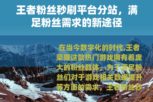 王者粉丝秒刷平台分站，满足粉丝需求的新途径