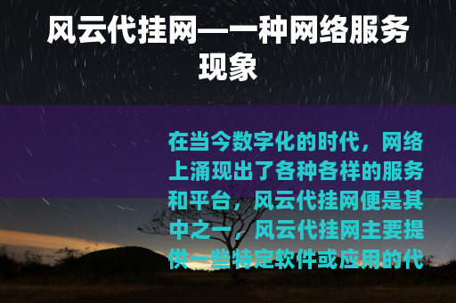 风云代挂网—一种网络服务现象