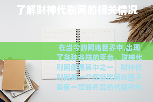 了解财神代刷网的相关情况