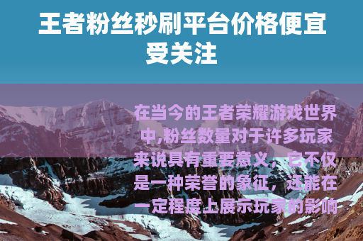 王者粉丝秒刷平台价格便宜受关注