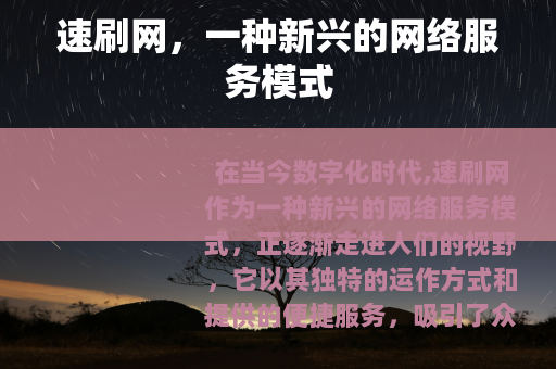 速刷网，一种新兴的网络服务模式