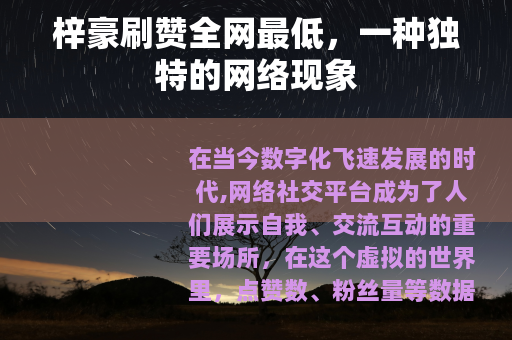 梓豪刷赞全网最低，一种独特的网络现象