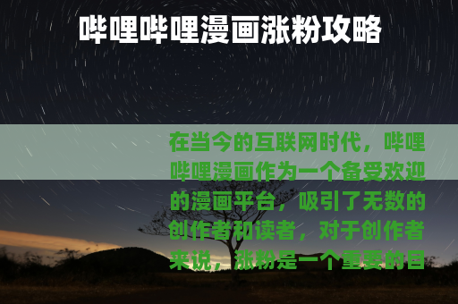 哔哩哔哩漫画涨粉攻略