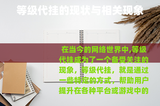 等级代挂的现状与相关现象