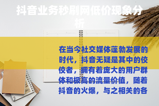 抖音业务秒刷网低价现象分析