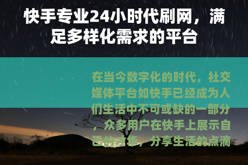 快手专业24小时代刷网，满足多样化需求的平台