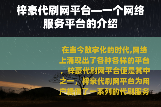 梓豪代刷网平台—一个网络服务平台的介绍