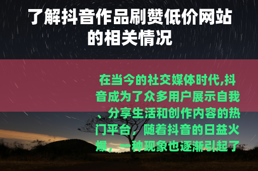 了解抖音作品刷赞低价网站的相关情况