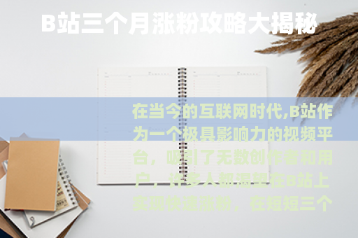 B站三个月涨粉攻略大揭秘