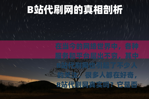 B站代刷网的真相剖析