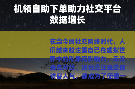 机领自助下单助力社交平台数据增长