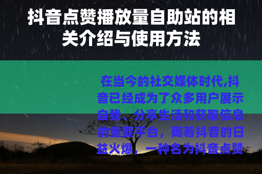 抖音点赞播放量自助站的相关介绍与使用方法