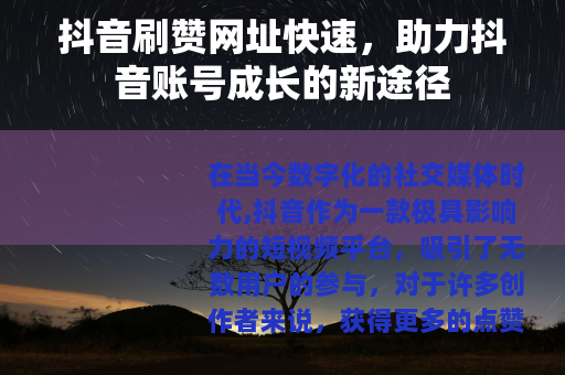抖音刷赞网址快速，助力抖音账号成长的新途径