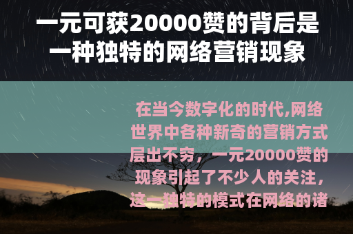 一元可获20000赞的背后是一种独特的网络营销现象