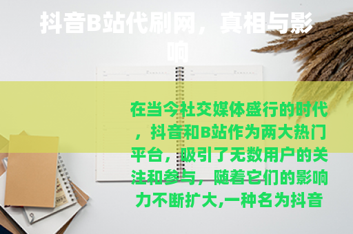 抖音B站代刷网，真相与影响