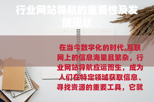 行业网站导航的重要性及发展现状