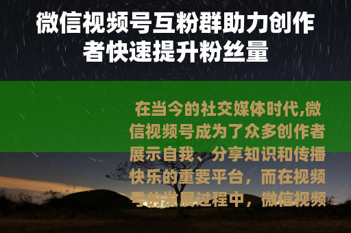微信视频号互粉群助力创作者快速提升粉丝量