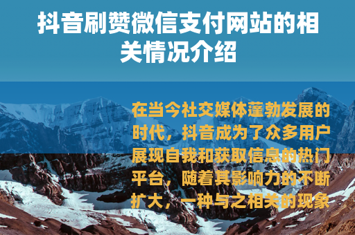 抖音刷赞微信支付网站的相关情况介绍