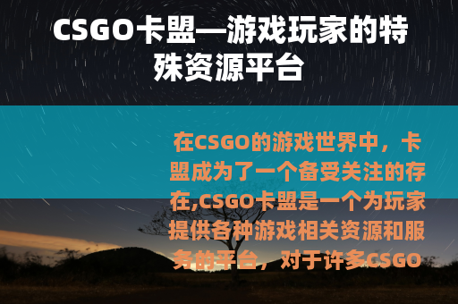CSGO卡盟—游戏玩家的特殊资源平台
