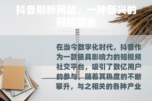 抖音刷粉网站，一种新兴的网络现象