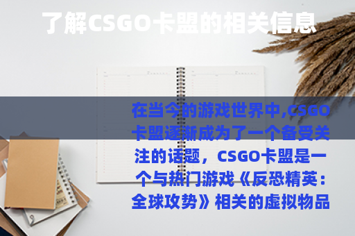 了解CSGO卡盟的相关信息