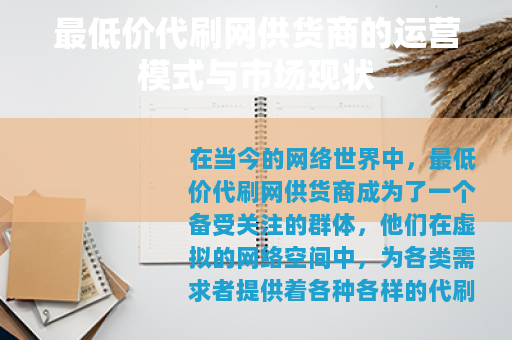 最低价代刷网供货商的运营模式与市场现状