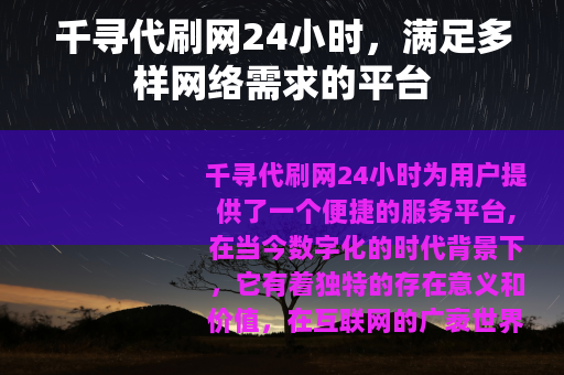 千寻代刷网24小时，满足多样网络需求的平台