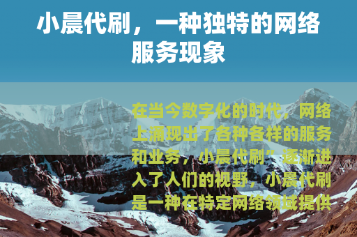 小晨代刷，一种独特的网络服务现象