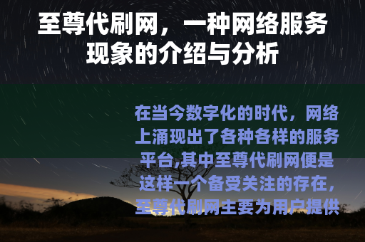 至尊代刷网，一种网络服务现象的介绍与分析