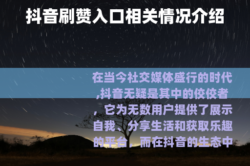 抖音刷赞入口相关情况介绍