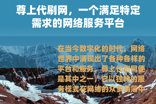 尊上代刷网，一个满足特定需求的网络服务平台