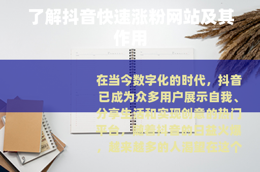 了解抖音快速涨粉网站及其作用