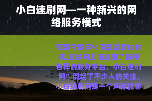 小白速刷网—一种新兴的网络服务模式