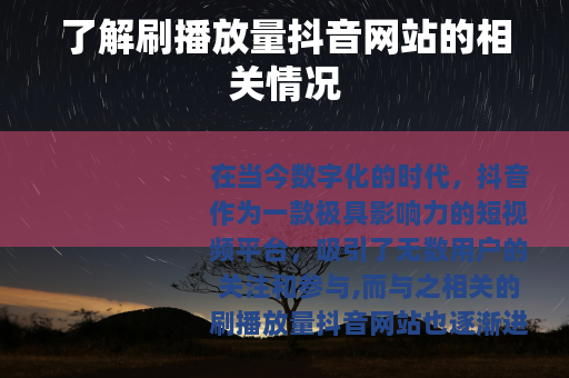 了解刷播放量抖音网站的相关情况