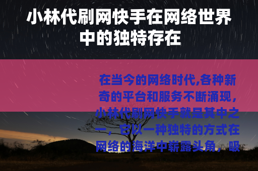 小林代刷网快手在网络世界中的独特存在