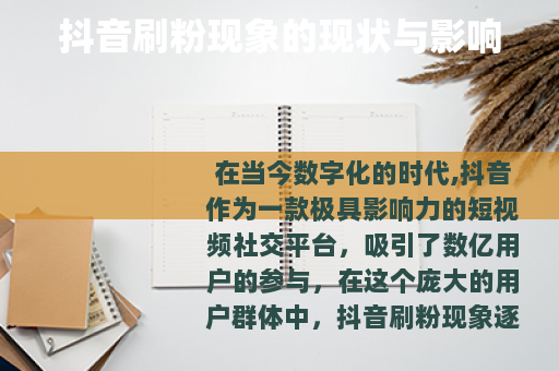 抖音刷粉现象的现状与影响