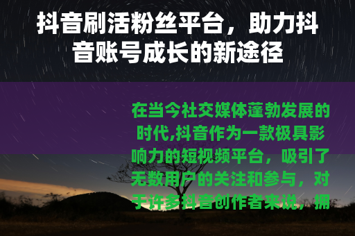抖音刷活粉丝平台，助力抖音账号成长的新途径