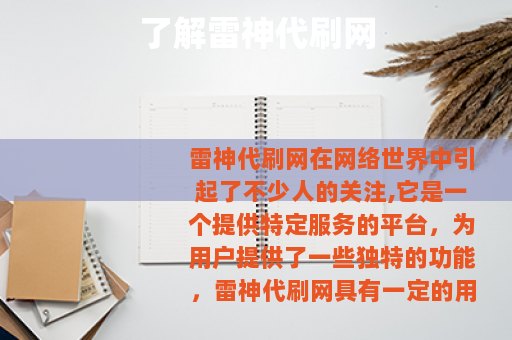 了解雷神代刷网