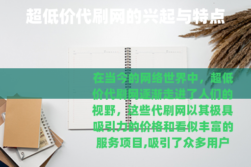超低价代刷网的兴起与特点 超低价代刷网的兴起与特点