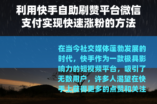 利用快手自助刷赞平台微信支付实现快速涨粉的方法