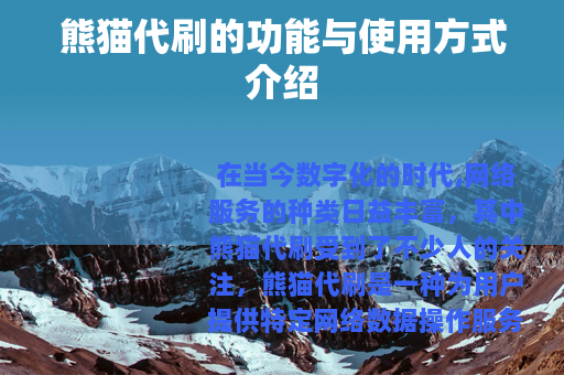 熊猫代刷的功能与使用方式介绍