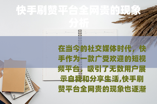 快手刷赞平台全网贵的现象分析