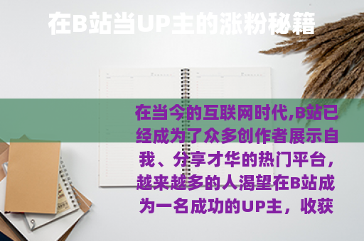 在B站当UP主的涨粉秘籍