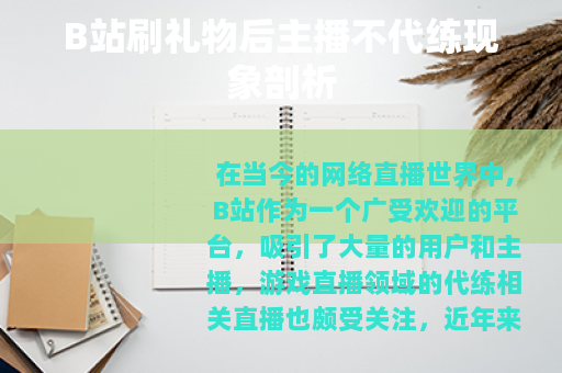 B站刷礼物后主播不代练现象剖析