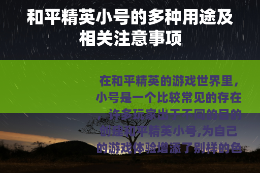 和平精英小号的多种用途及相关注意事项