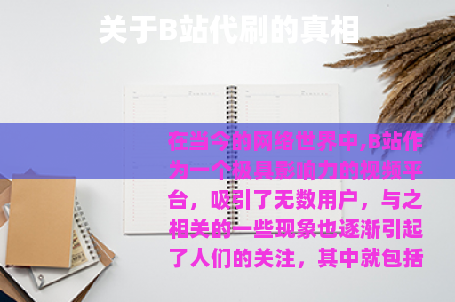 关于B站代刷的真相