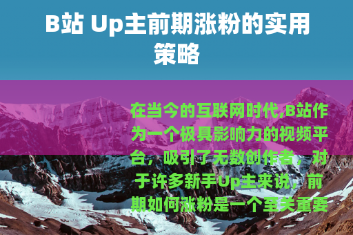 B站 Up主前期涨粉的实用策略
